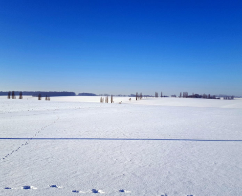 Vorträge - Der Natur auf der Spur ...