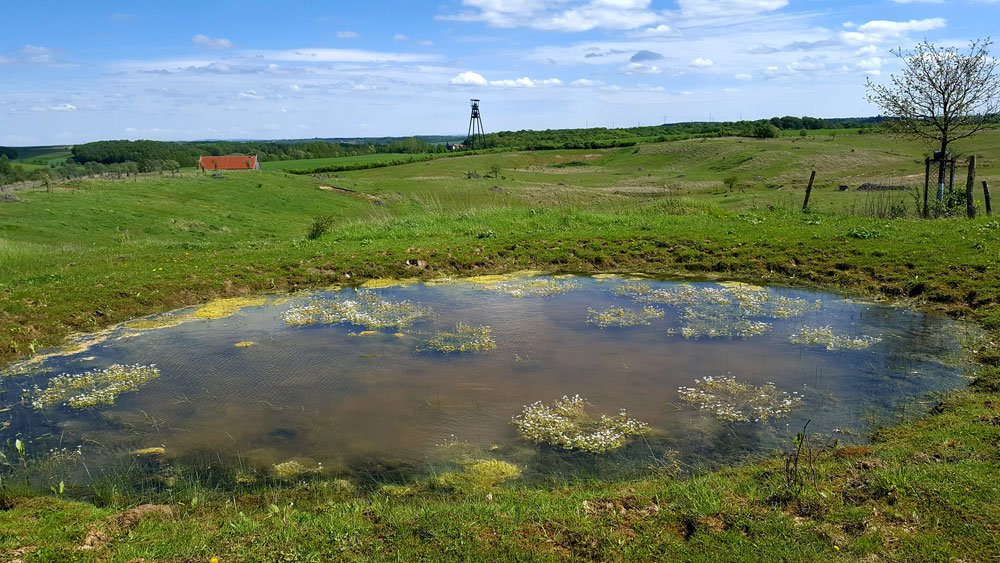 Bergbaufolgelandschaft bei Löbichau, Landkreis Altenburger Land