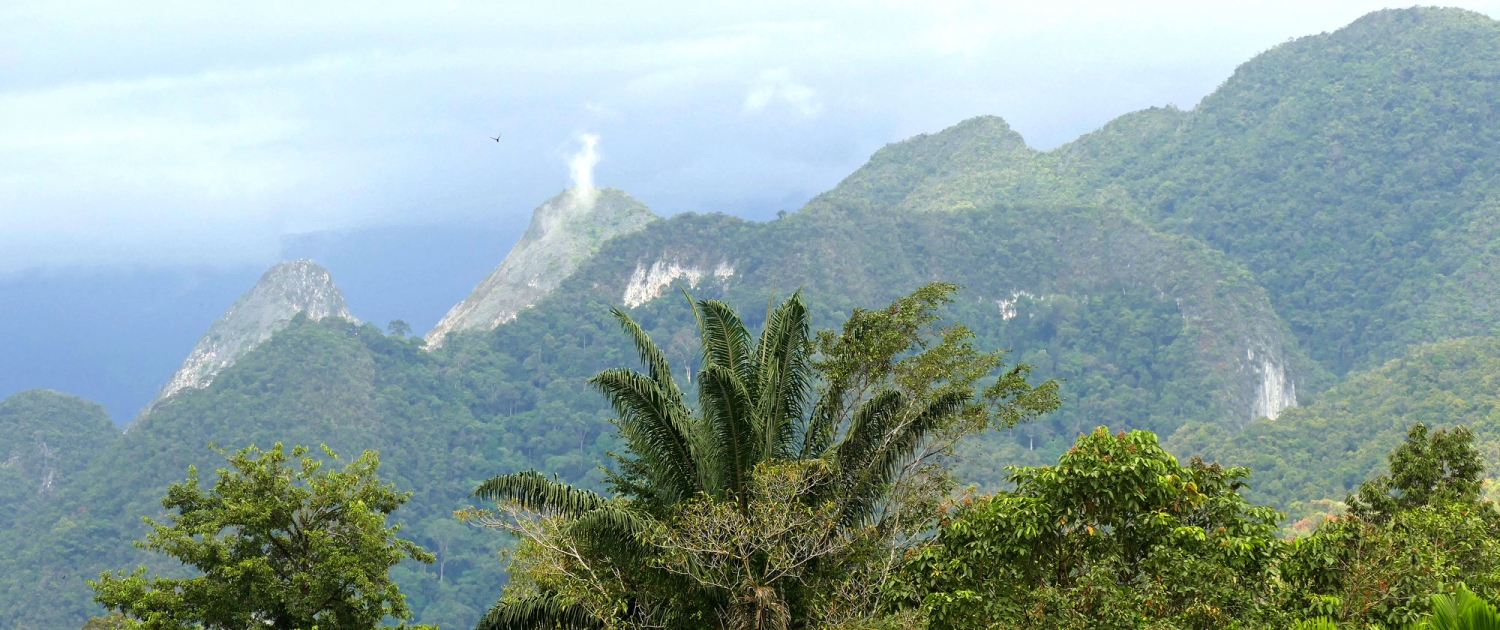 Gunung-Mulu National Park