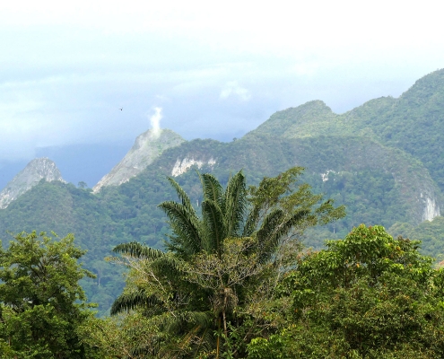 Gunung-Mulu National Park