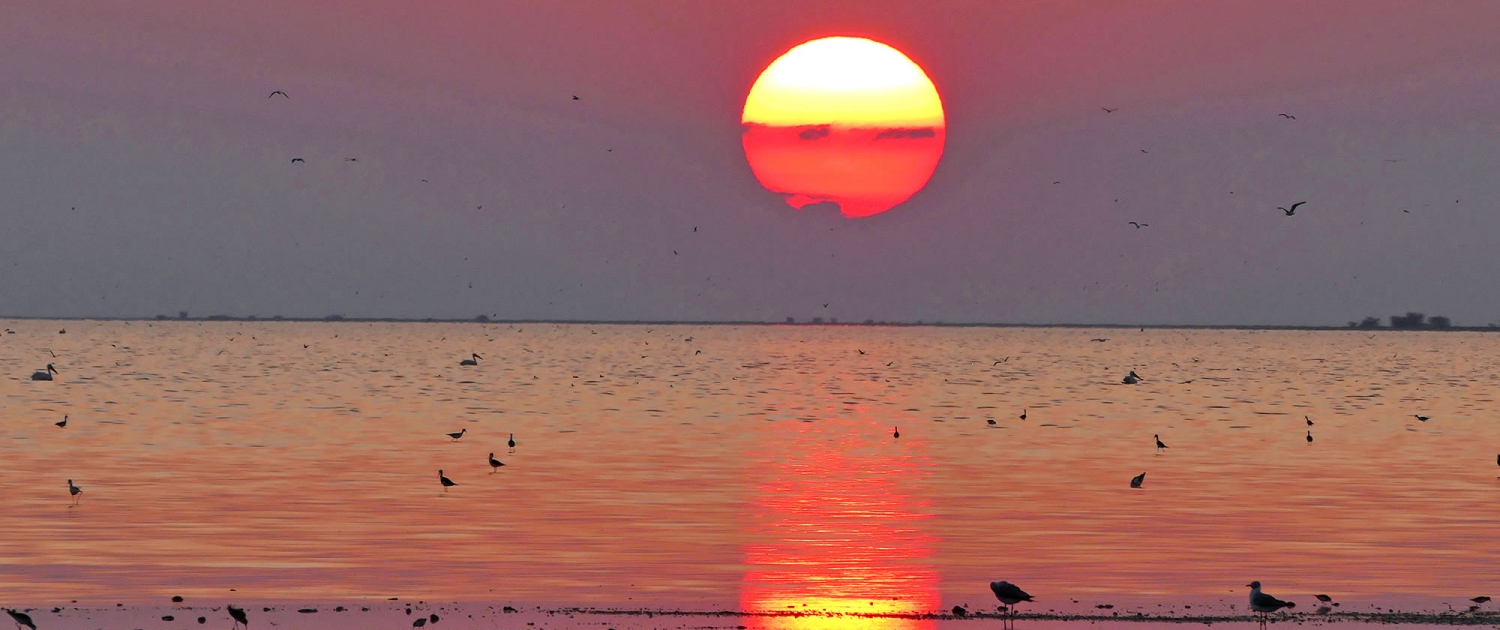 Zeit für einen Sundowner Zeit für einen Sundowner