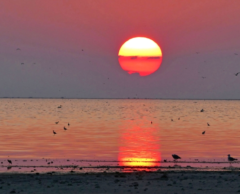 Zeit für einen Sundowner Zeit für einen Sundowner