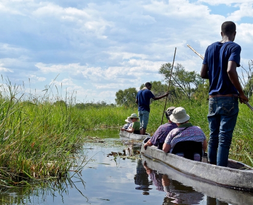 Im Mokoro auf Pirsch, Okavangodelta Im Mokoro auf Pirsch, Okavangodelta