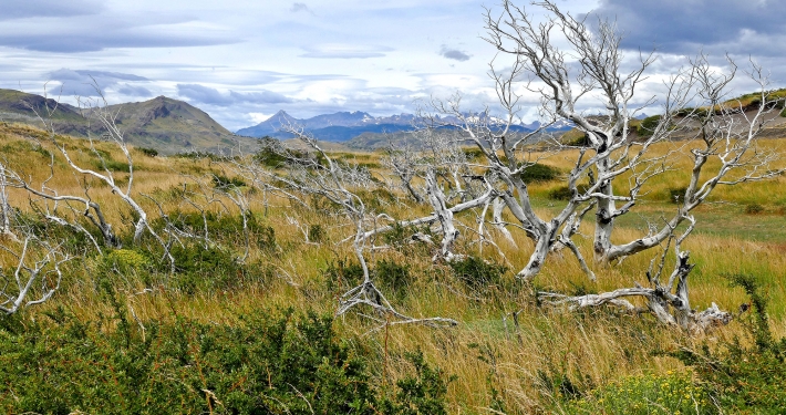 In Patagonien