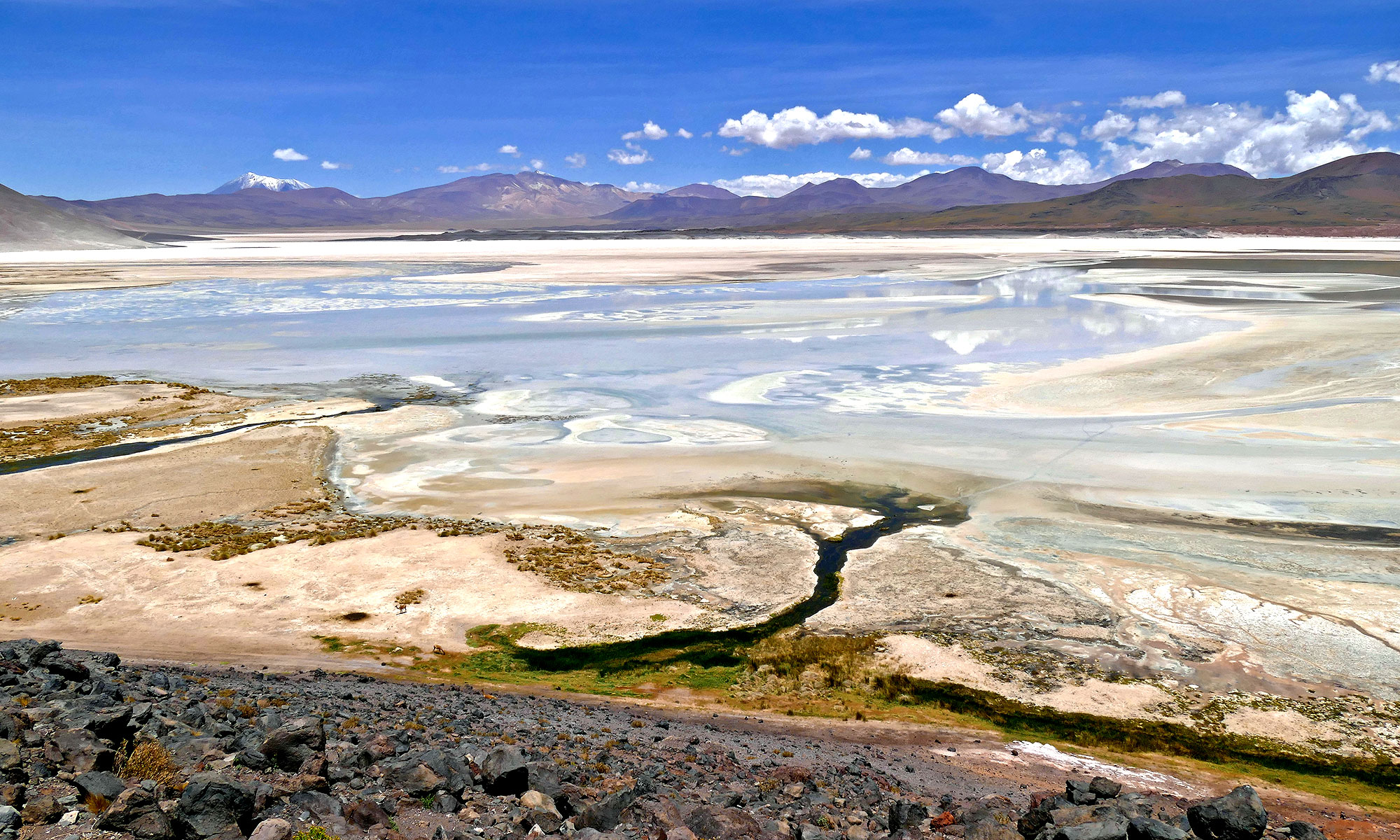 Salar de Talar, Atacama (4.310 m üNN)