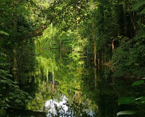 Im Botanischen Garten Santo Domingo Im Botanischen Garten Santo Domingo
