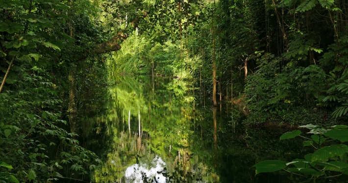 Im Botanischen Garten Santo Domingo Im Botanischen Garten Santo Domingo