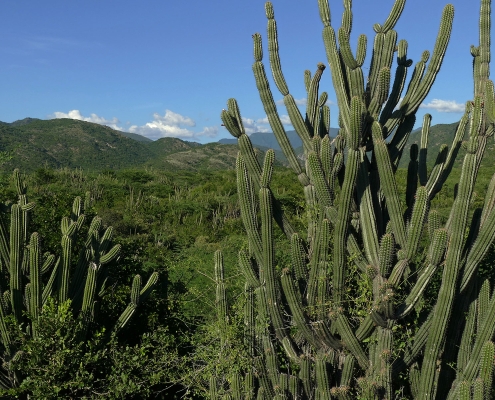 Im Parque Nacional del Este Im Parque Nacional del Este