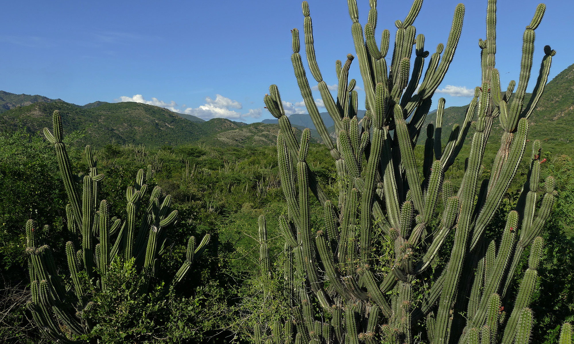 Im Parque Nacional del Este Im Parque Nacional del Este