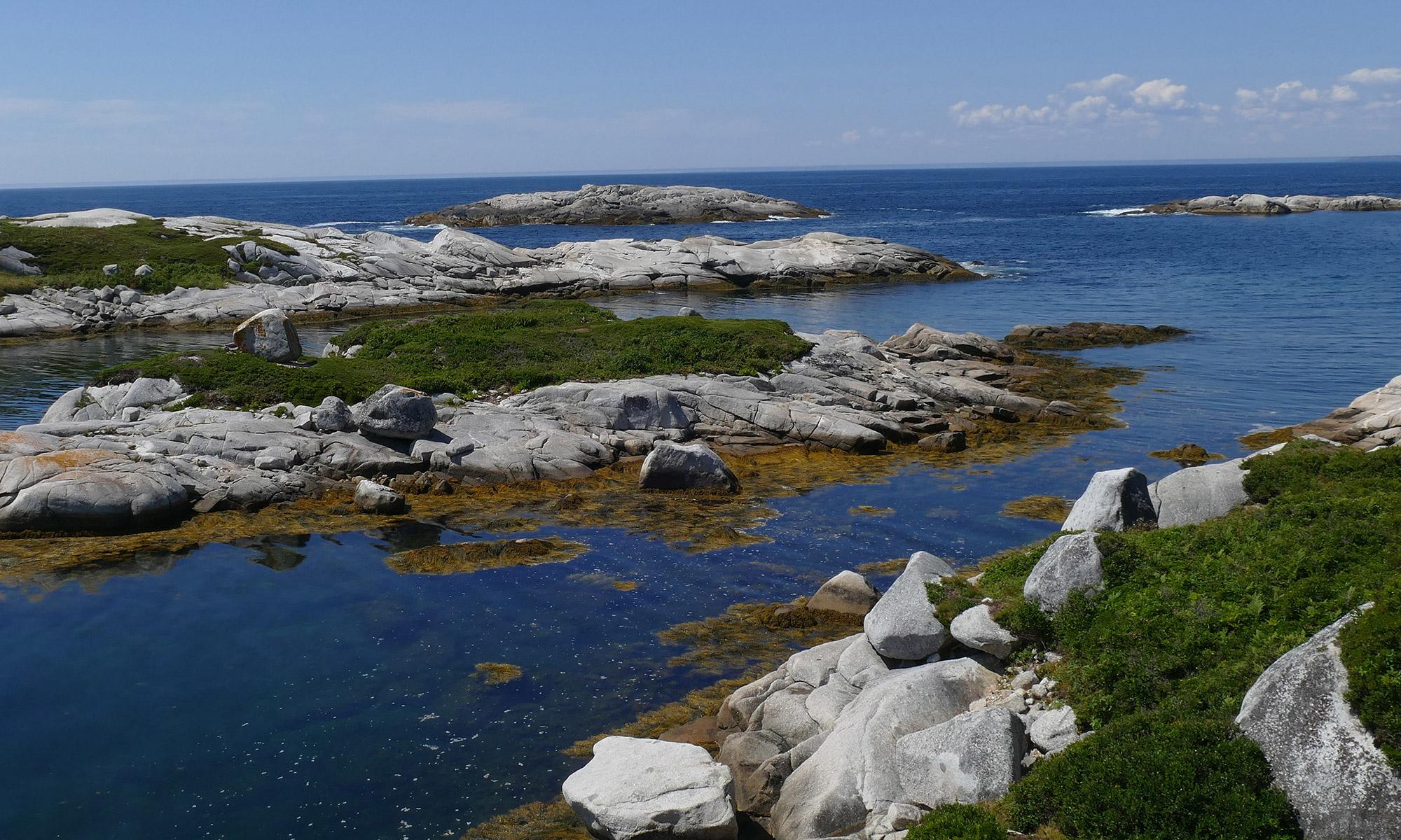 Polly`s Cove