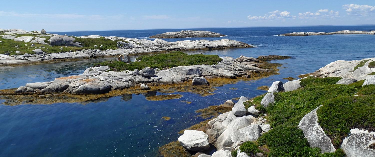 Polly`s Cove