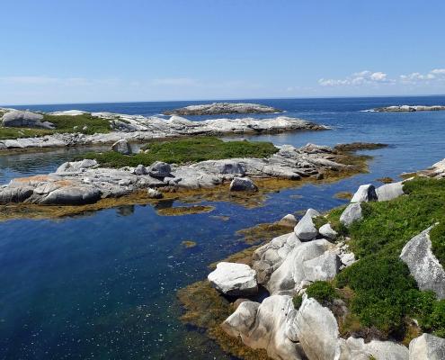 Polly`s Cove