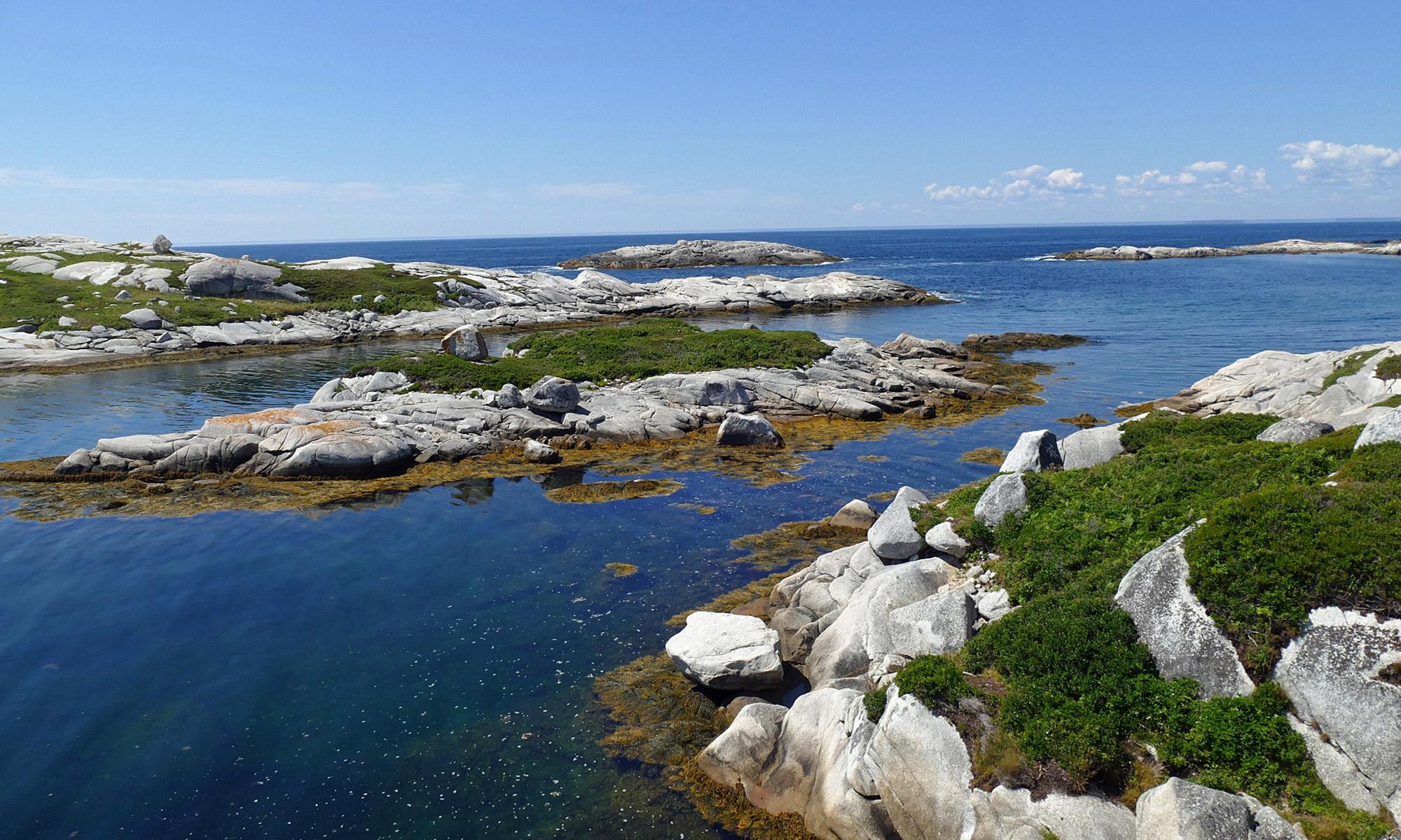 Polly`s Cove