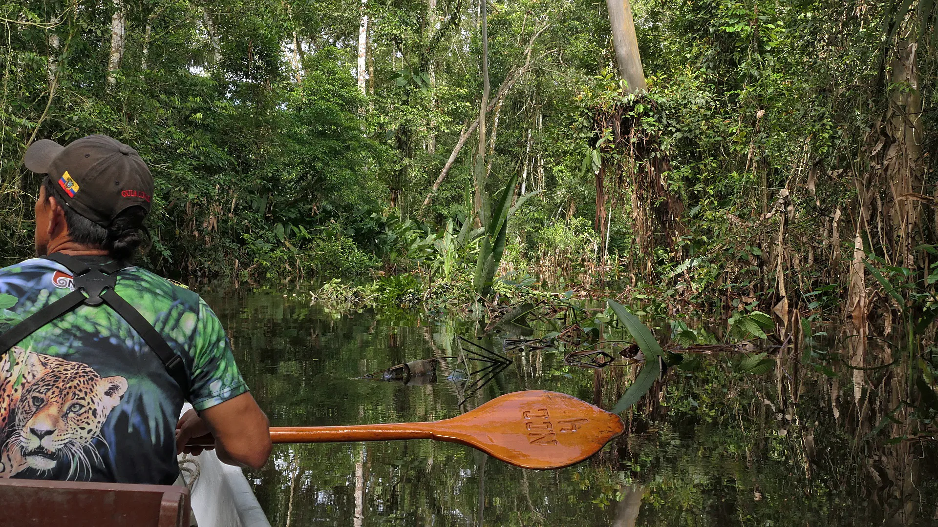 Auf Tour im Amazonas Regenwald