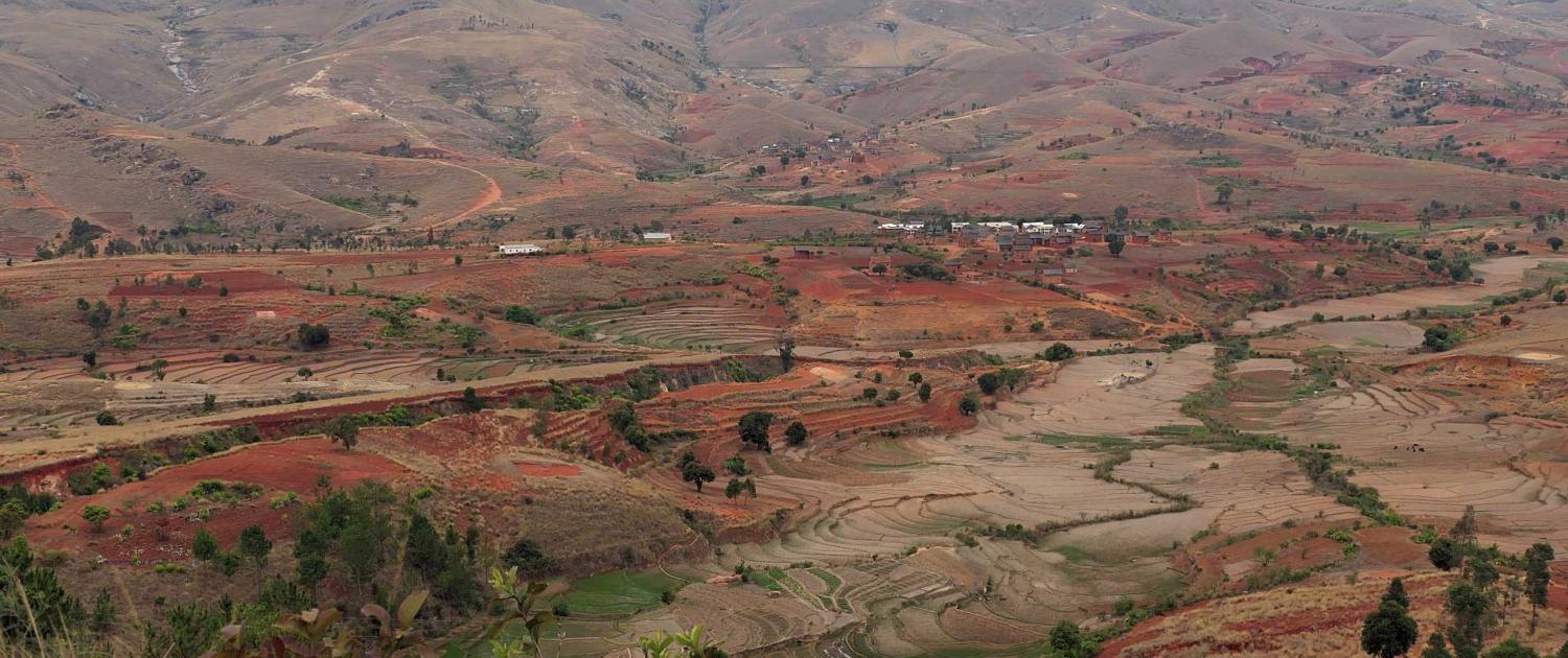 Im trockenen Süden von Madagaskar Im trockenen Süden von Madagaskar