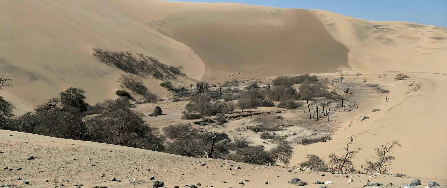 Wüstenoase Huacachina Wüstenoase Huacachina