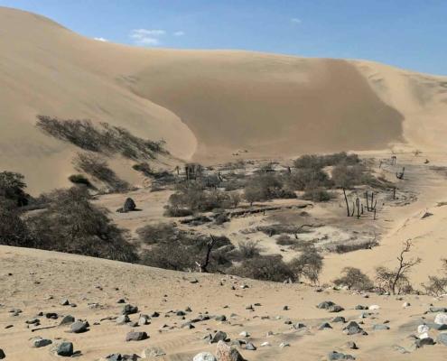 Wüstenoase Huacachina Wüstenoase Huacachina