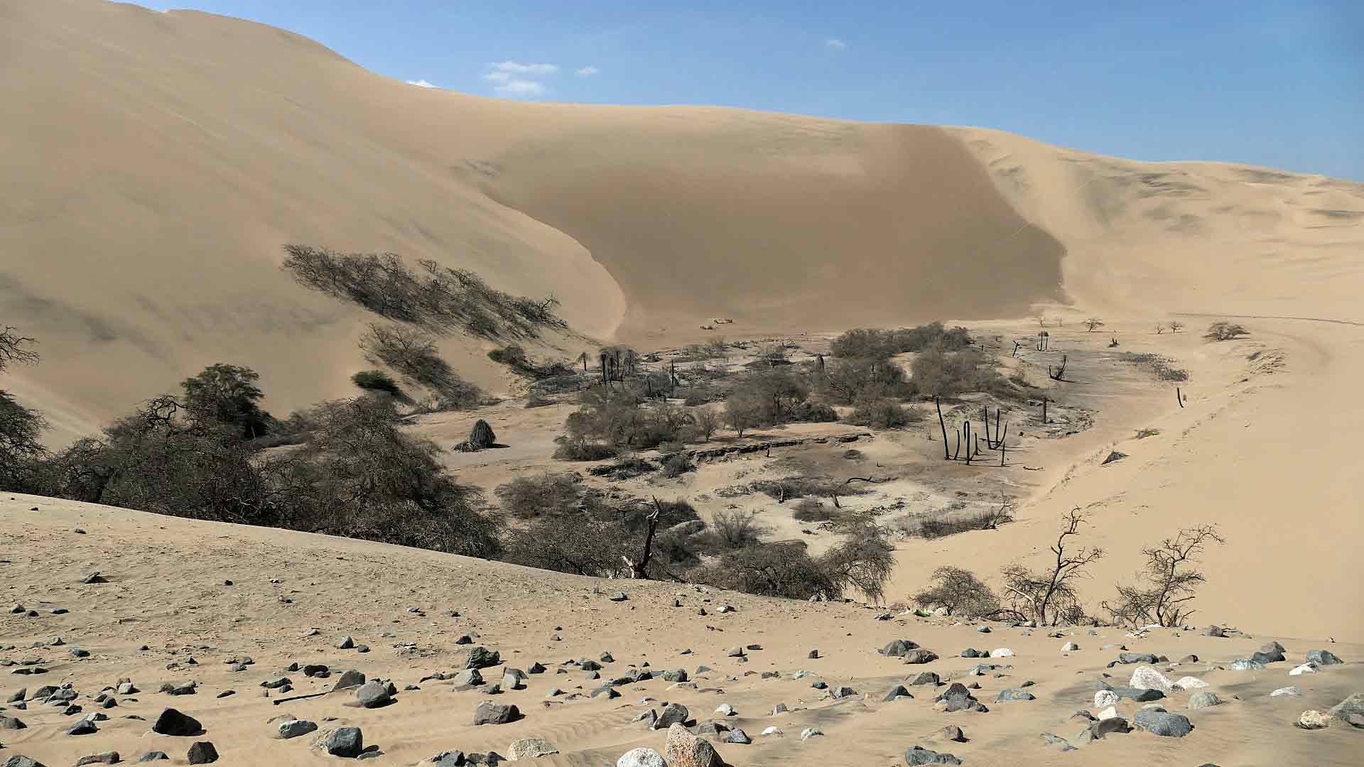 Wüstenoase Huacachina Wüstenoase Huacachina