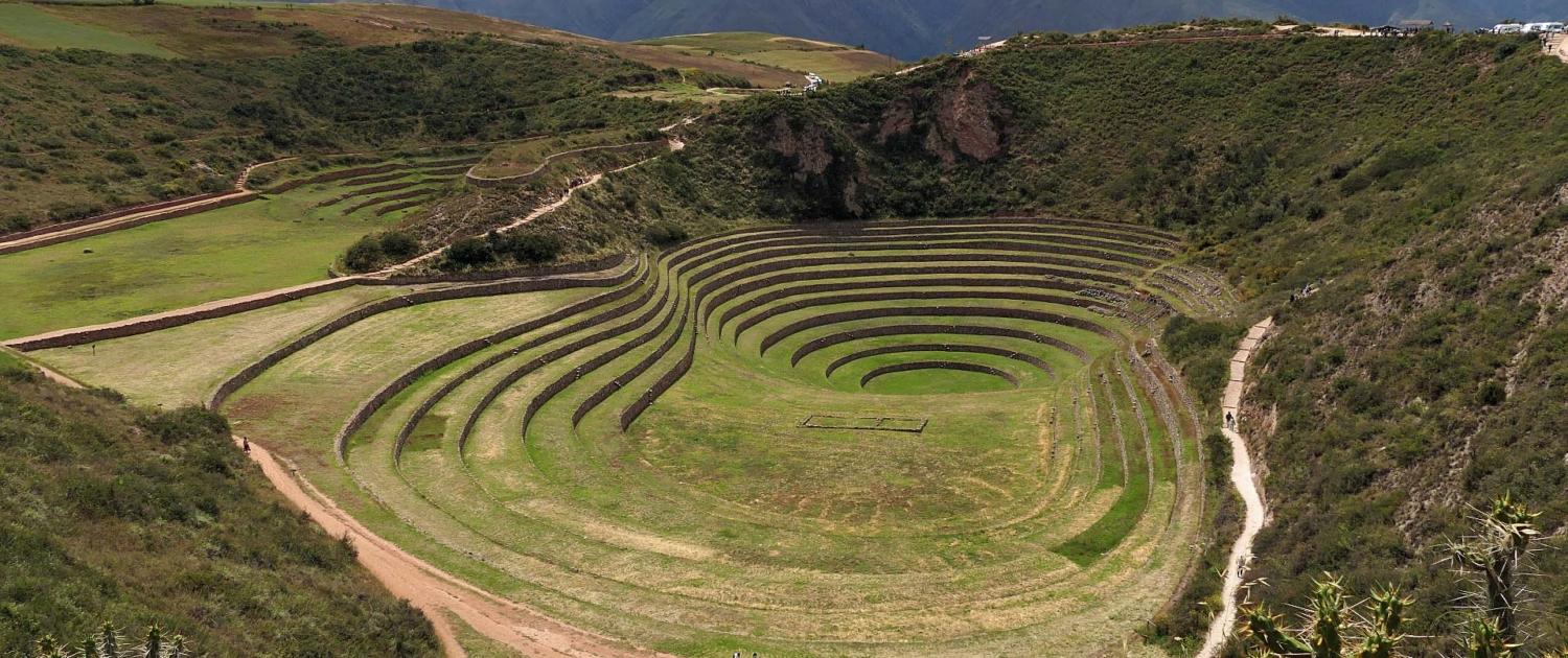 Moray Moray